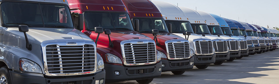 PPG Roadlines Inc. | 90 Saddlecrest Close NE, Calgary, AB T3J 5B6, Canada | Phone: (587) 917-0094