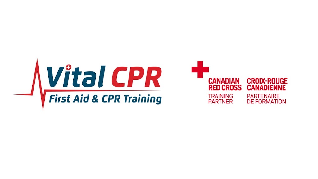 Vital CPR - First Aid Training | 626 Sheppard Avenue West Sheppard Plaza - Lower Level - Unit C, North York, ON M3H 2S1, Canada | Phone: (416) 855-7813