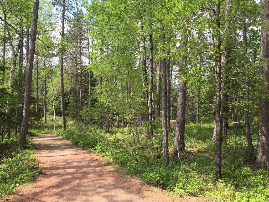 Petroglyphs Provincial Park | 2249 Northeys Bay Rd, Woodview, ON K0L 3E0, Canada | Phone: (705) 877-2552