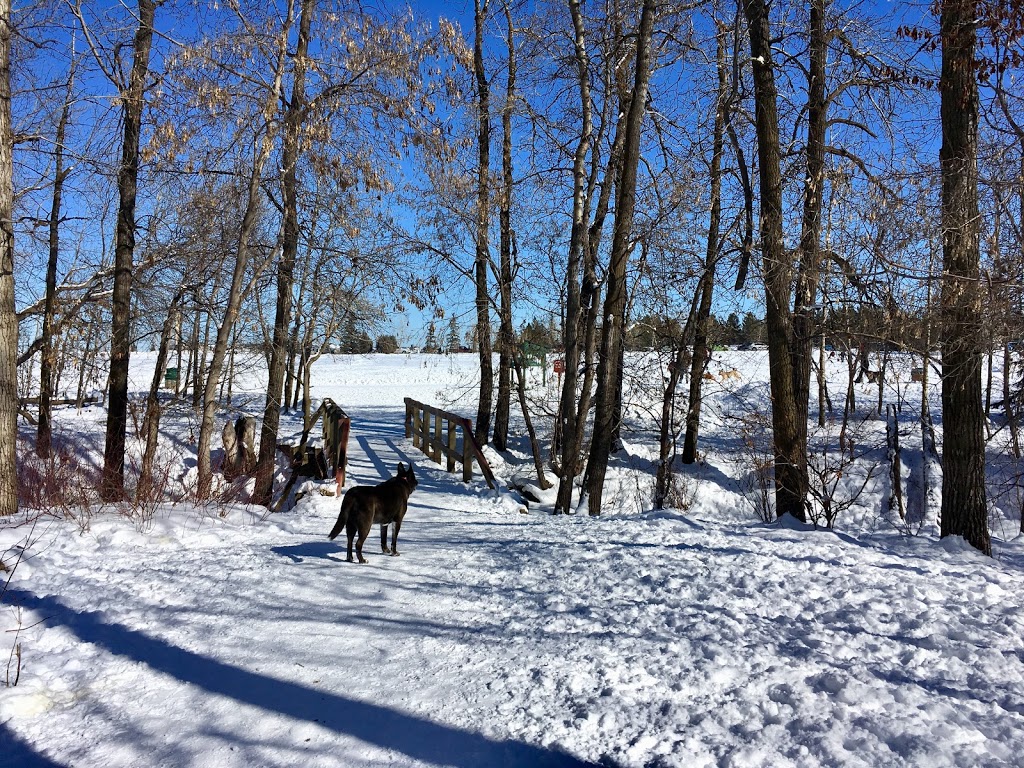 Jackie Parker Off-Leash Dog Park | AB-14, Edmonton, AB T6L 6B6, Canada