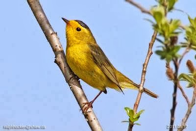 Backyard Wild Bird & Nature Store The | 6314 Metral Dr, Nanaimo, BC V9T 2L8, Canada | Phone: (250) 390-3669