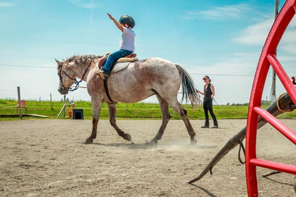 Reaching Strides Equestrian Centre | 423 Dunmore Rd, Port Hood, NS B0E 2W0, Canada | Phone: (902) 870-1583