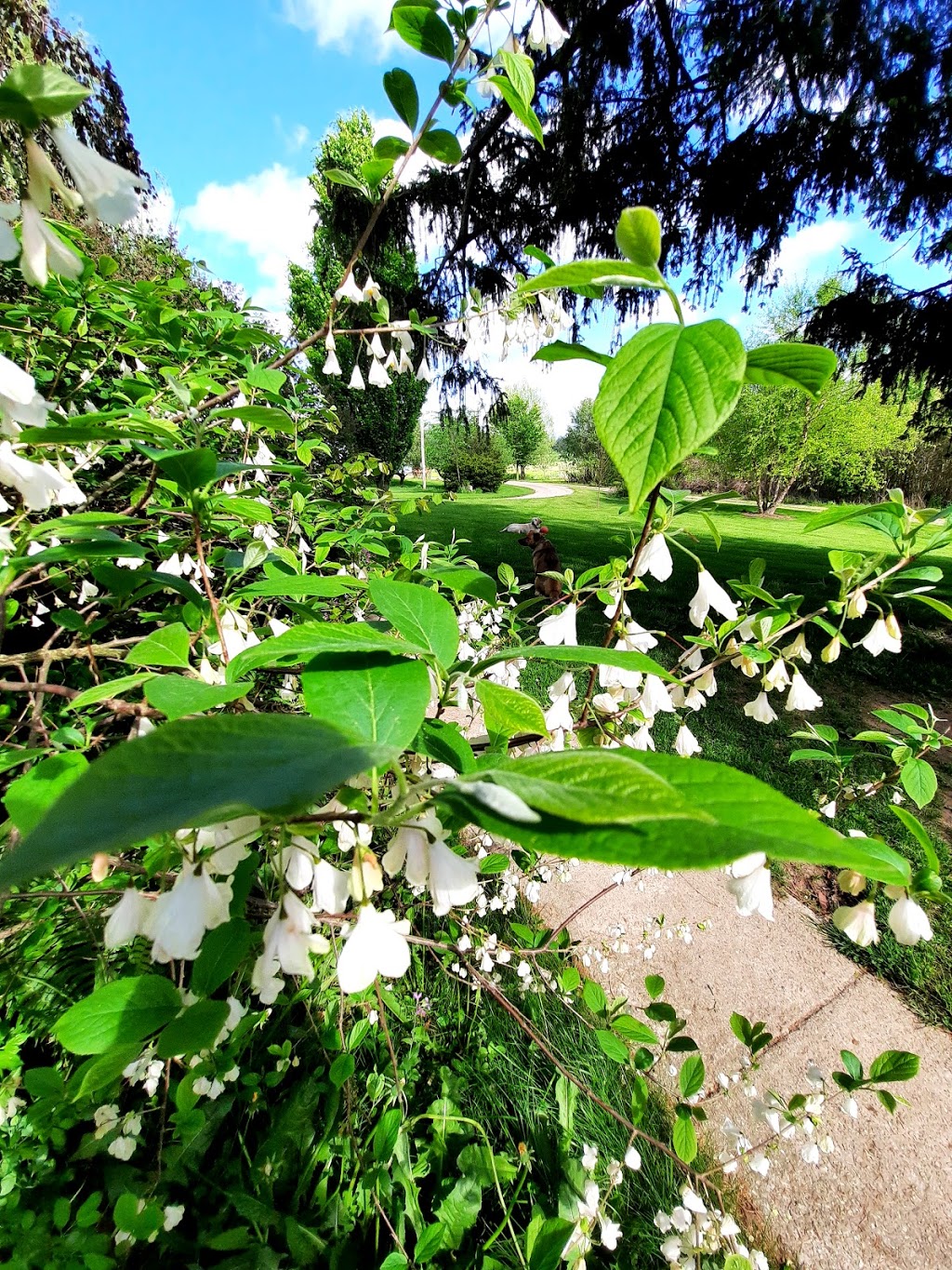 Fairchild Farm | 2091 Concession 8 W, Cambridge, ON N1R 5S2, Canada | Phone: (519) 740-0980