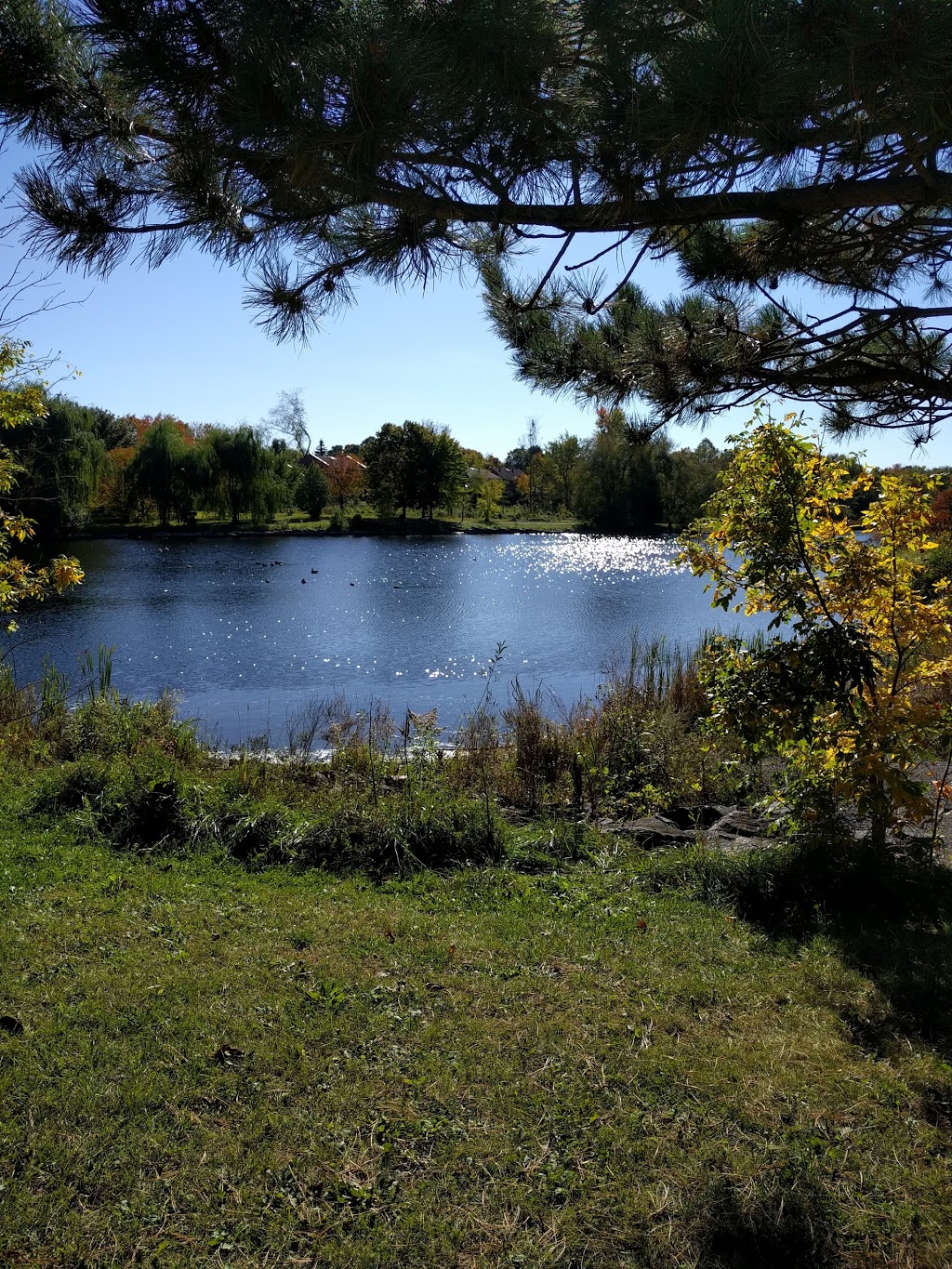 Varley Park | Beaverbrook, Ottawa, ON K2K, Canada