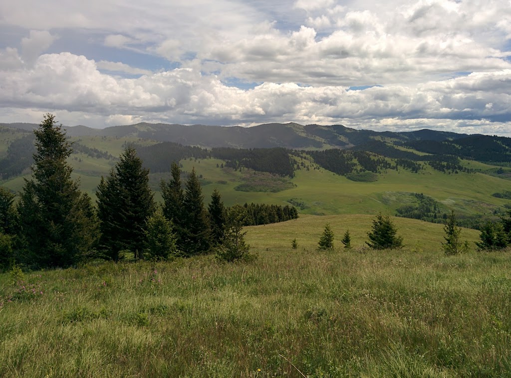 Bob Creek Wildland | Coleman, AB T0K 0M0, Canada | Phone: (403) 627-1165