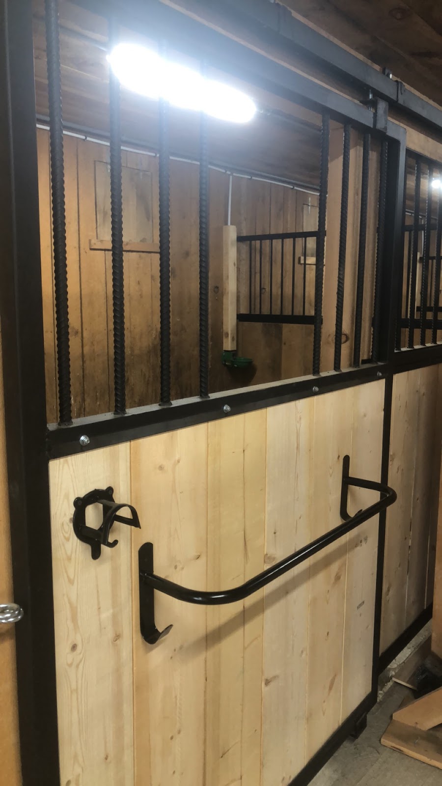 Carter Sport Horses | 670 Wilson Line, Cavan, ON L0A 1C0, Canada | Phone: (647) 913-5344