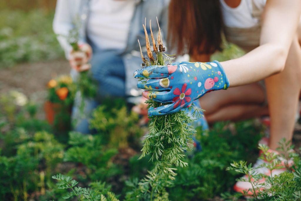 Elite Garden Maintenance & Landscaping | 6270 Owls Nest Place, Sooke, BC V9Z 1A9, Canada | Phone: (778) 678-2524