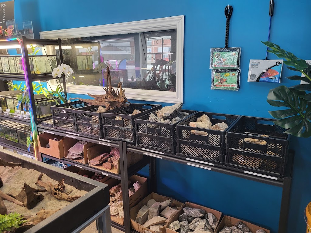 JTrip Fish | 1010 12e Avenue N, Sherbrooke, QC J1E 2X3, Canada | Phone: (819) 580-8997