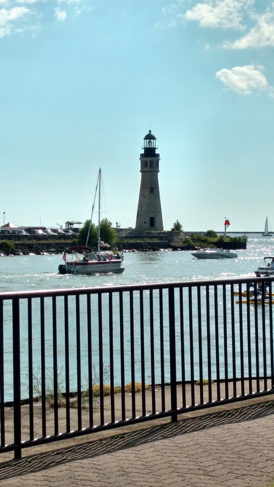 moondanceCat | 329 Erie St, Buffalo, NY 14202, USA | Phone: (716) 854-7245