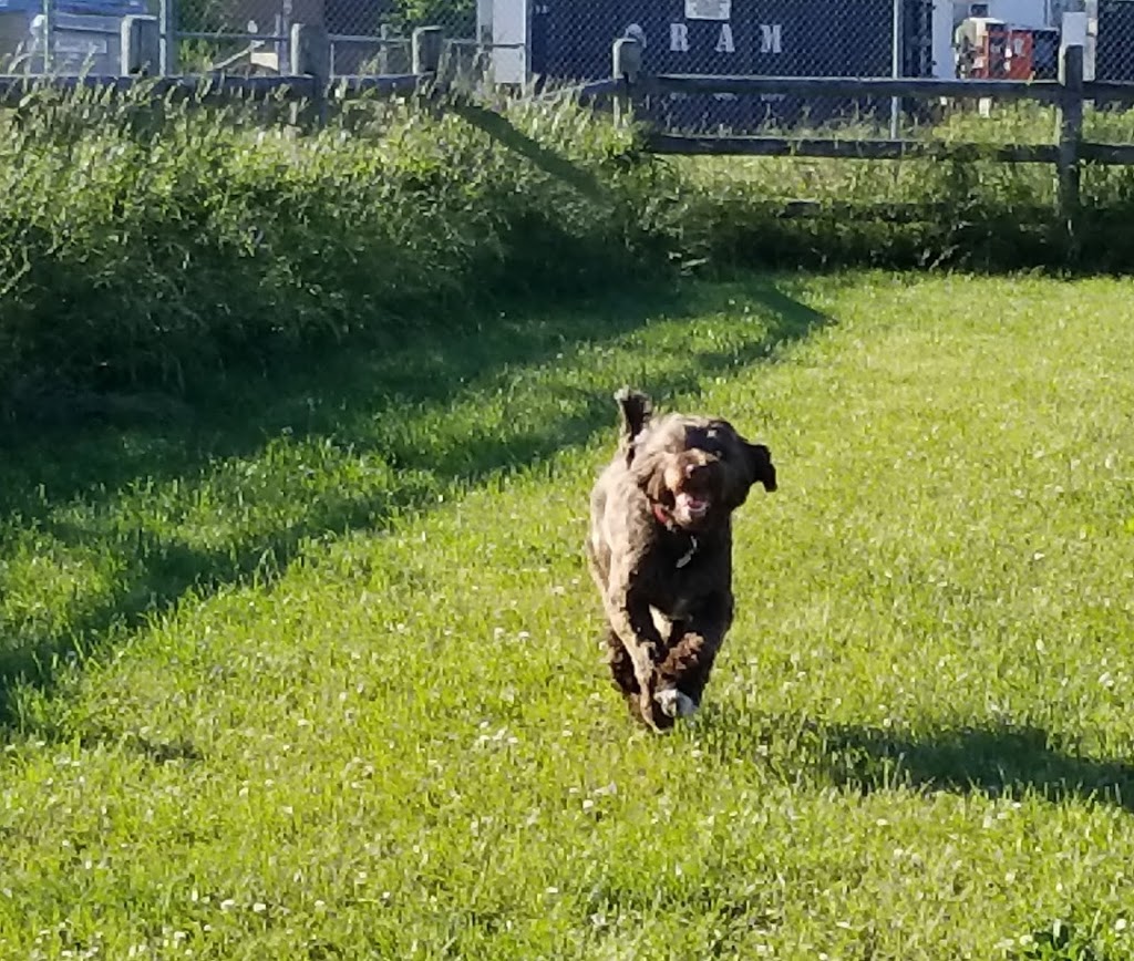 Colonel Samuel Smith Dog Park | dr 4b6, 65 Colonel Samuel Smith Park Dr, Etobicoke, ON M8V 4B6, Canada