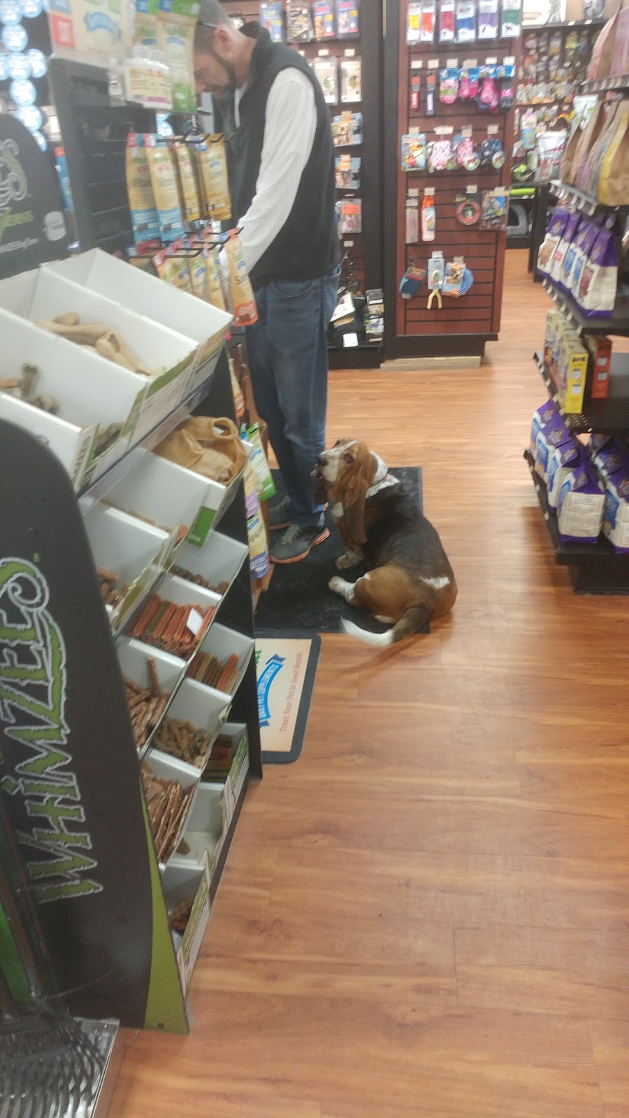 Pet Valu | 603 Bank St, Ottawa, ON K1S 3T4, Canada | Phone: (613) 233-4477