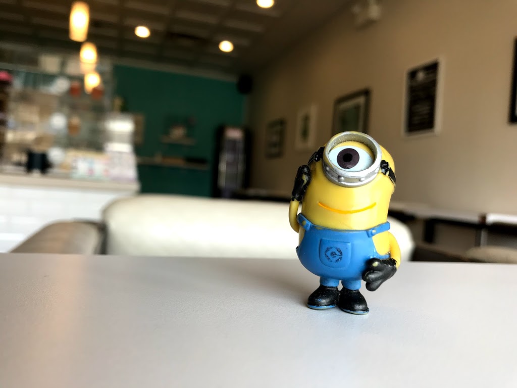 Fuss Cupcakes | 9637 167 Ave NW, Edmonton, AB T5Z 3S3, Canada | Phone: (587) 459-8006