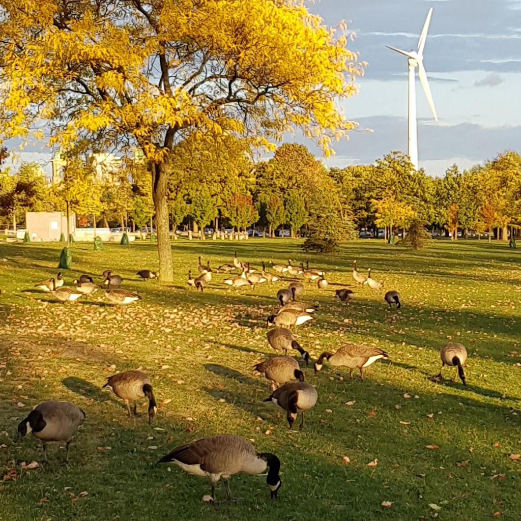 Marilyn Bell Park | 1095 Lake Shore Blvd W, Toronto, ON M6K 2R5, Canada | Phone: (416) 392-2489