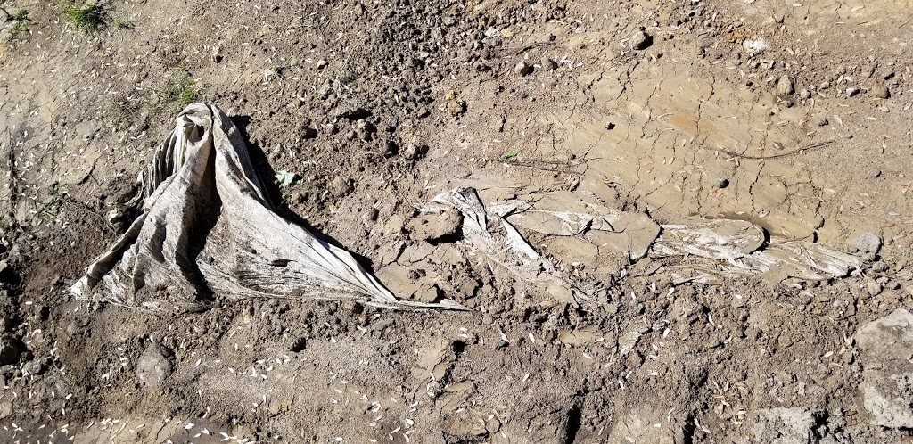 A Massicotte Excavation Inc | 201 Chem. de la Rivière à Veillet, Sainte-Geneviève-de-Batiscan, QC G0X 2R0, Canada | Phone: (418) 362-3161