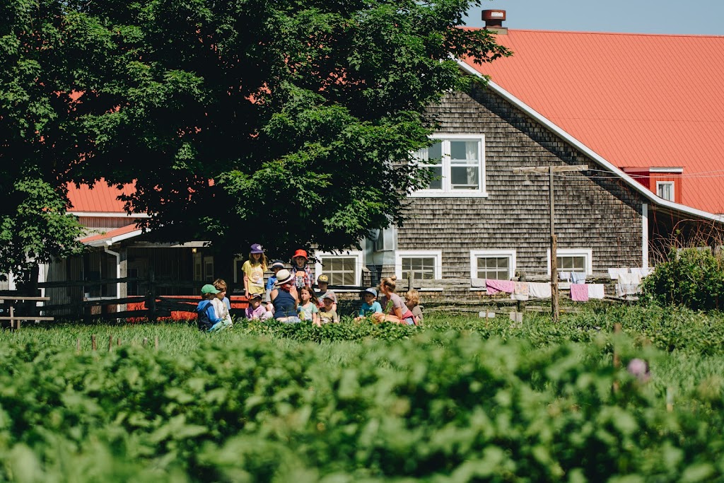 Ferme Pédagogique Marichel Inc | 809 Rang Bois Franc, Sainte-Agathe-de-Lotbinière, QC G0S 2A0, Canada | Phone: (418) 599-2949