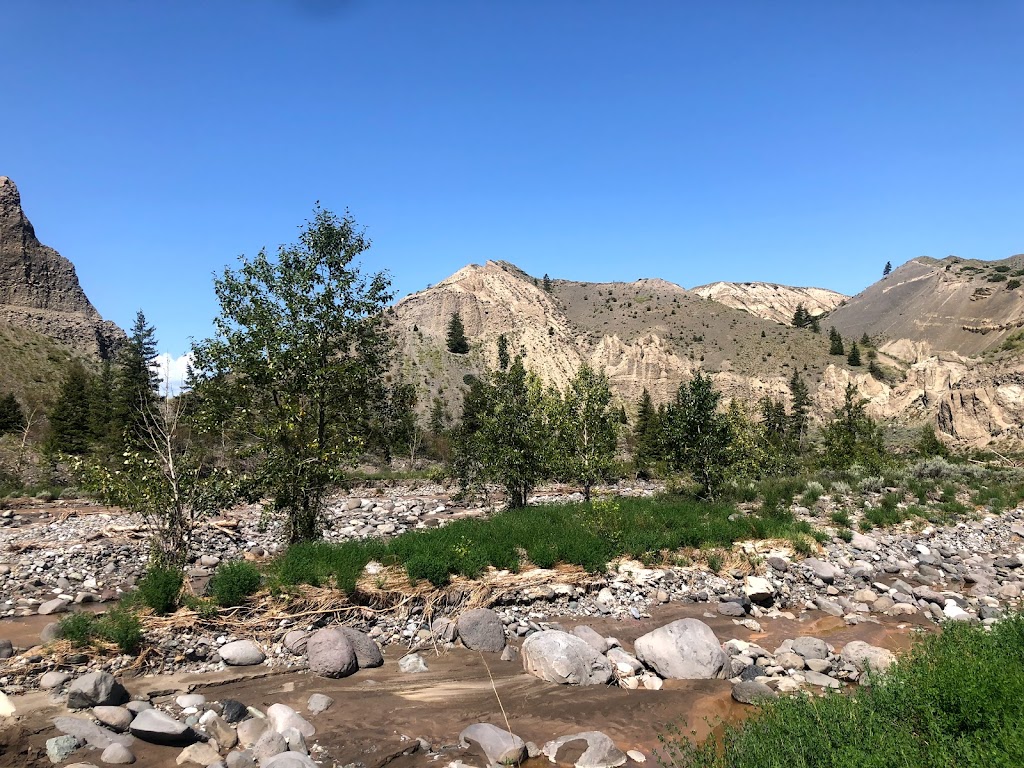 Churn Creek Protected Area | Highway 97, Gang Ranch, BC V0K 1N0, Canada | Phone: (800) 689-9025