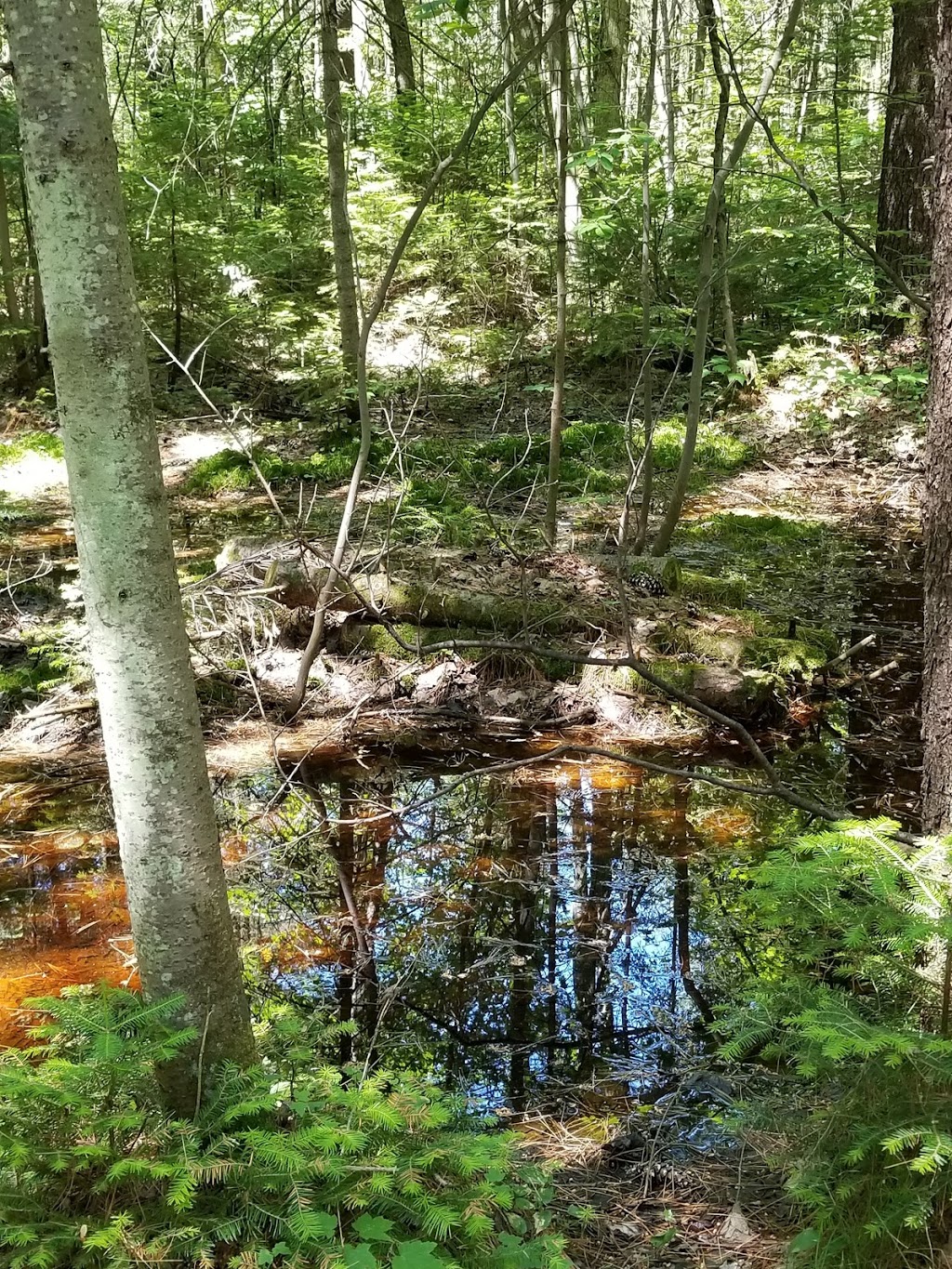 Parc du Domaine Vert | 10423 Montée Sainte Marianne, Mirabel, QC J7J 2B1, Canada | Phone: (450) 435-6510