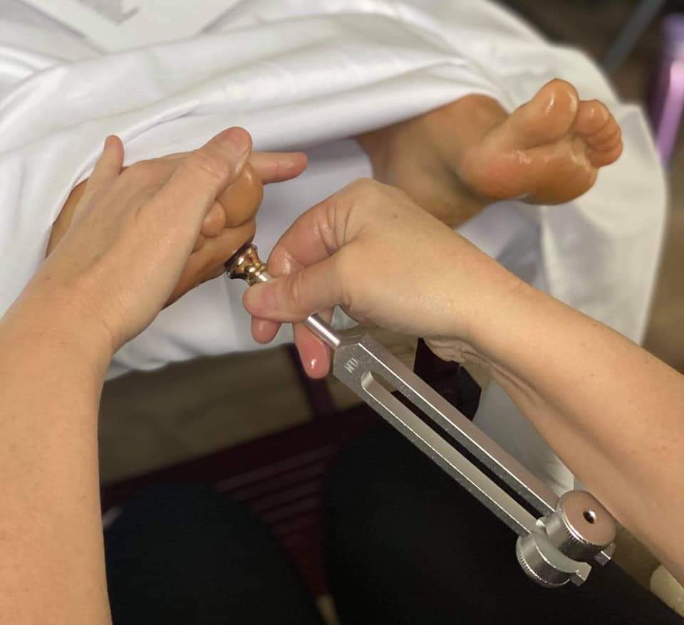 Lisa Matthews - Dandelion Moon - Reflexology - HRP | 12 Elgin St E, Cobourg, ON K9A 0C5, Canada | Phone: (289) 404-0493