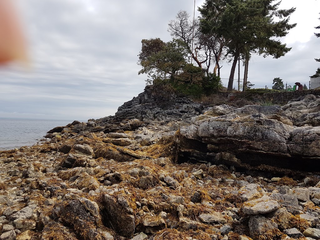 Blue Back Community Park | 3121 Tyee Crescent, Nanoose Bay, BC V9P 9H9, Canada | Phone: (250) 390-4111