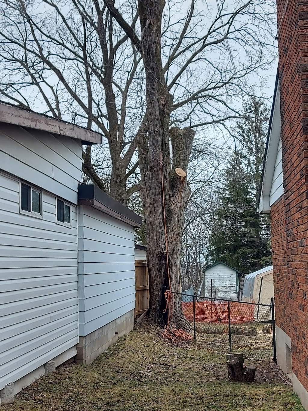 Northside Tree Experts | 64 Scott St, Orillia, ON L3V 4R4, Canada | Phone: (705) 896-5204