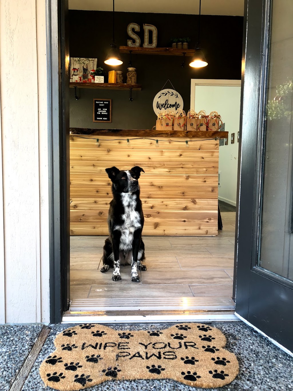 Skinny Dippers Pet Salon | 1941 Lake Whatcom Blvd, Bellingham, WA 98229, USA | Phone: (360) 393-4933