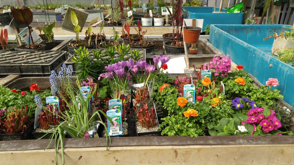 Humber Nurseries Limited | 8386 Hwy 50, Brampton, ON L6T 0A5, Canada | Phone: (905) 794-0555