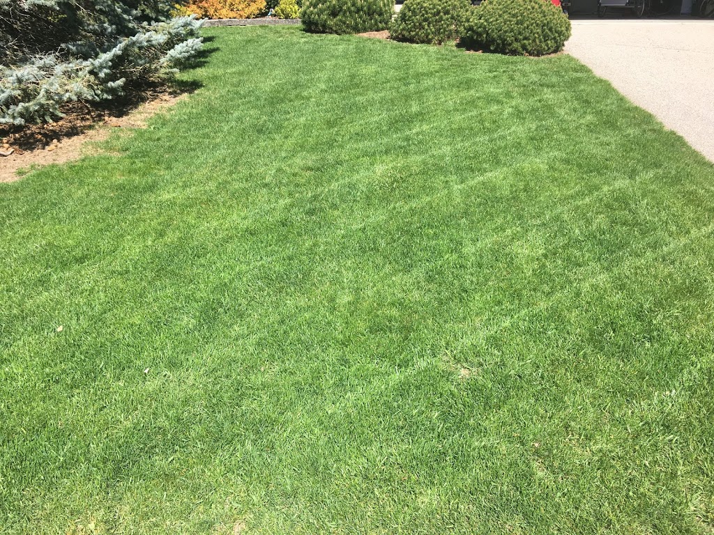 JMD Lawn Care | 16 Joanne Crescent, Elora, ON N0B 1S0, Canada | Phone: (437) 241-2127