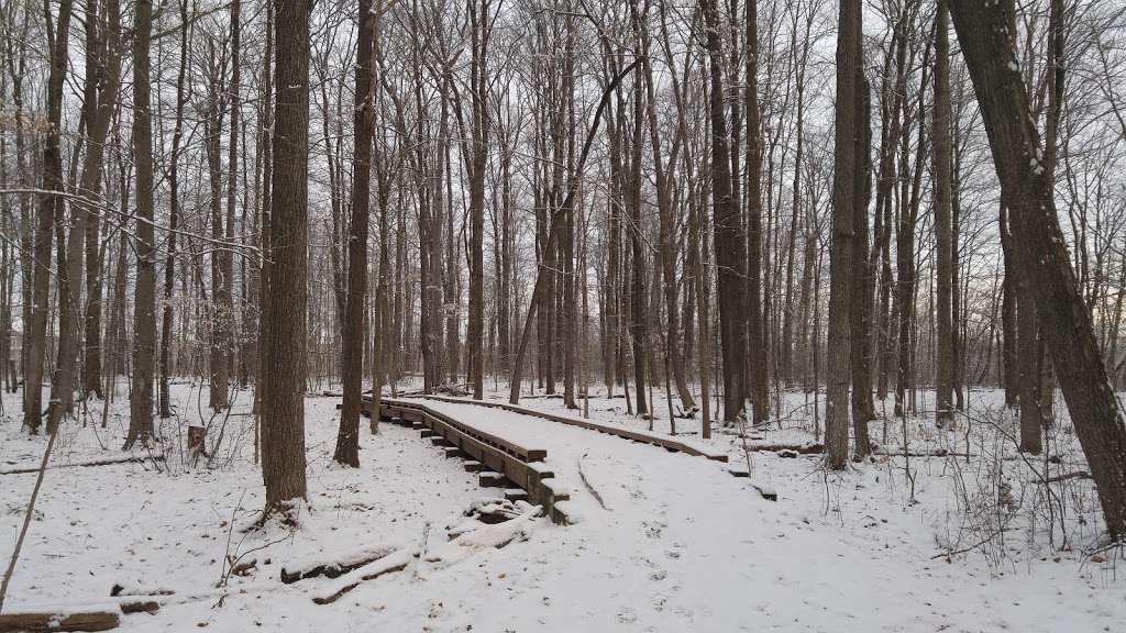 Bur Oak Park | Markham, ON L6E, Canada