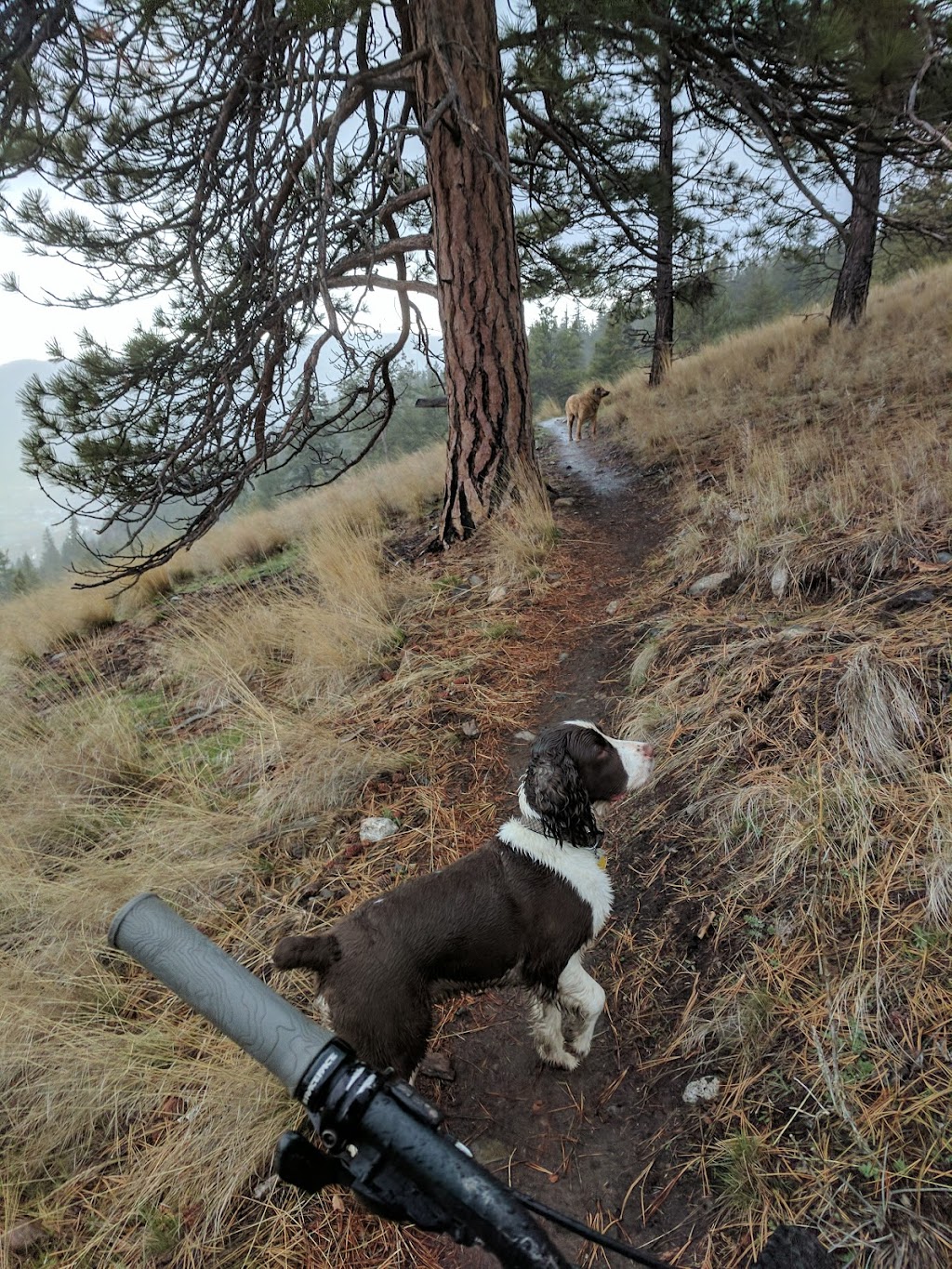 Tom Lacey Trail | Merritt, BC V1K 1J5, Canada | Phone: (250) 280-6590