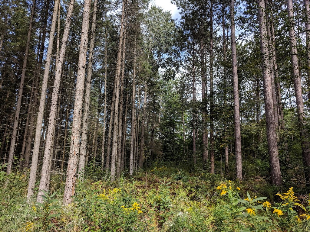 Pefferlaw Tract | 24408 Lake Ridge Rd, Pefferlaw, ON L0E 1N0, Canada