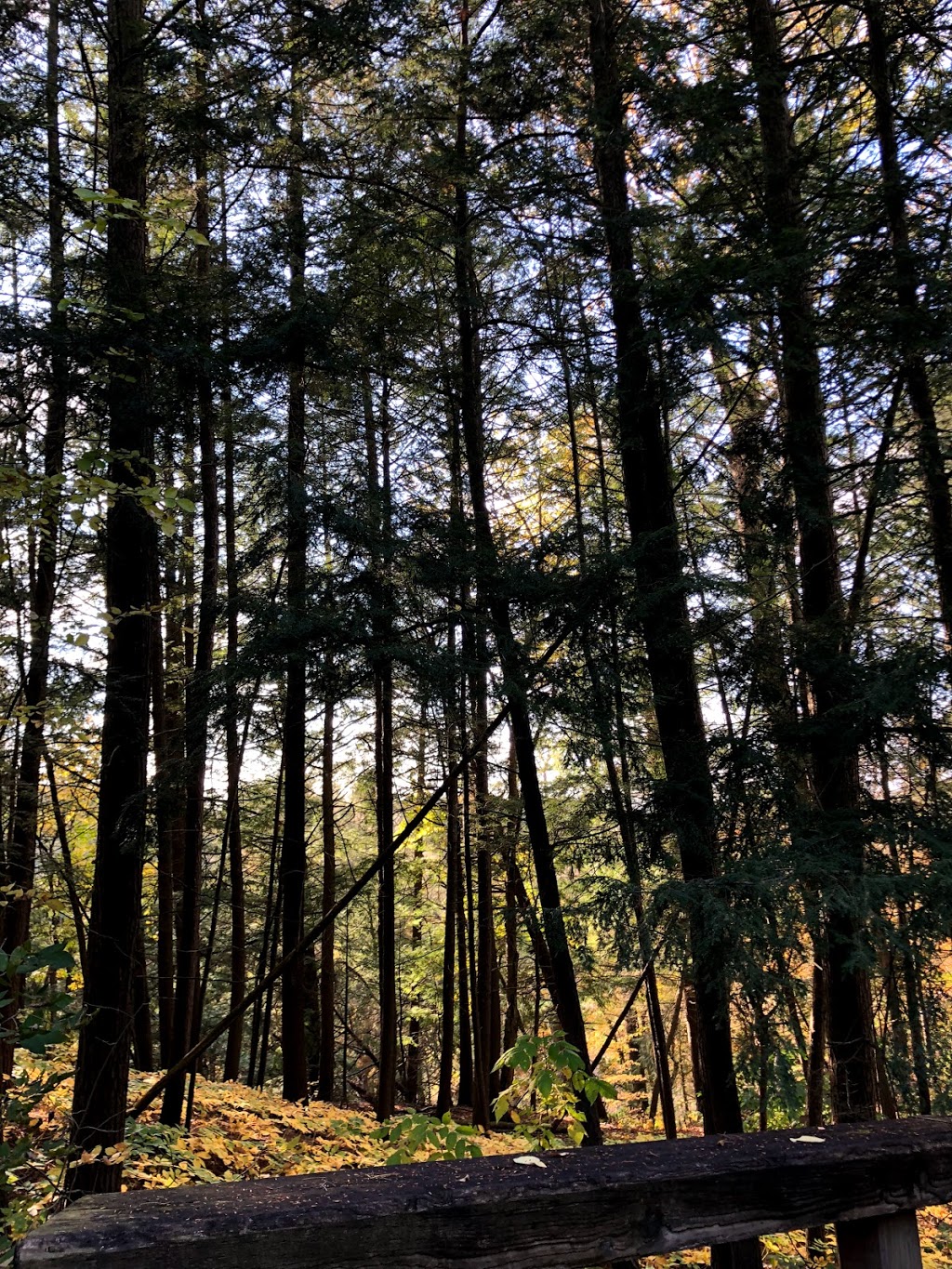Willam Grange Greenway Trail | William Granger Greenway, Kleinburg, ON L0J 1C0, Canada