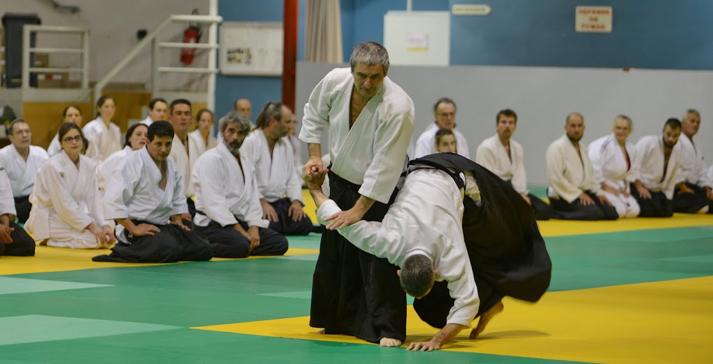 Aikido Canada - Art Martial A Montreal Et Laval | 103 Bd de la Concorde O, Laval, QC H7N 1H8, Canada | Phone: (514) 770-8842