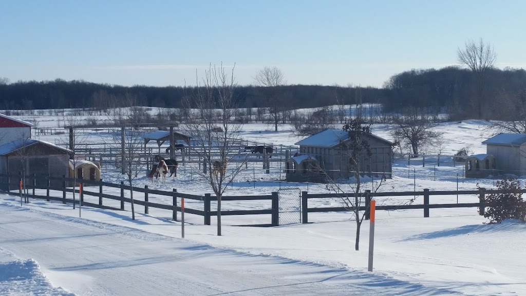 Habitations Paul Marineau | 19001 Chemin du Grand St Charles, Mirabel, QC J7N 2E8, Canada | Phone: (450) 818-6963