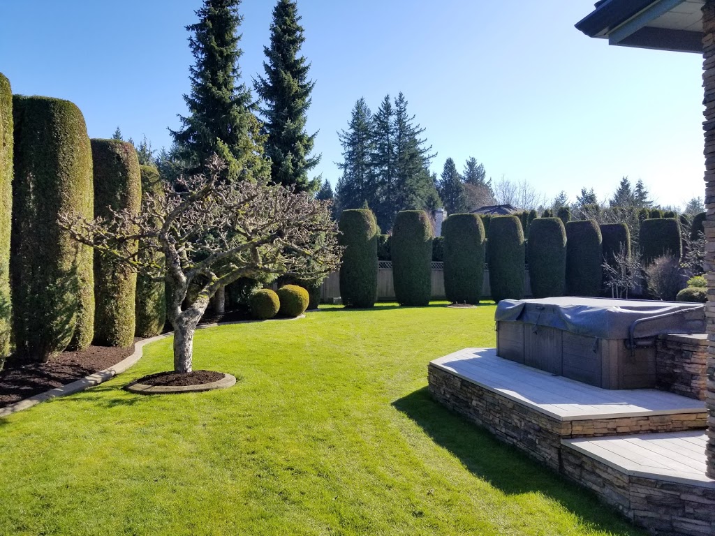 Pinecrest Landscaping Ltd. | 12th Ave &, English Bluff Rd, Tsawwassen, BC V4M 2A4, Canada | Phone: (604) 961-8406