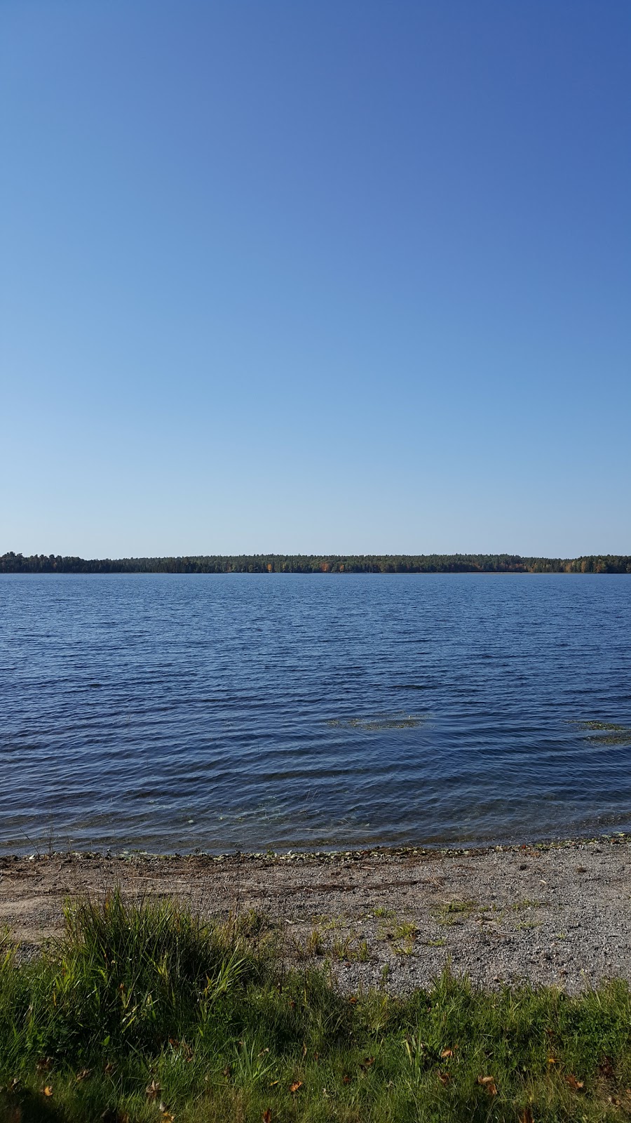 T-Bell Cottage Rentals | 3 Tilley Ln, White Lake, ON K0A 3L0, Canada | Phone: (613) 623-3897