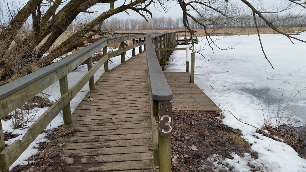 Tifft Nature Preserve | 1200 Fuhrmann Boulevard, Buffalo, NY 14203, USA | Phone: (716) 825-6397