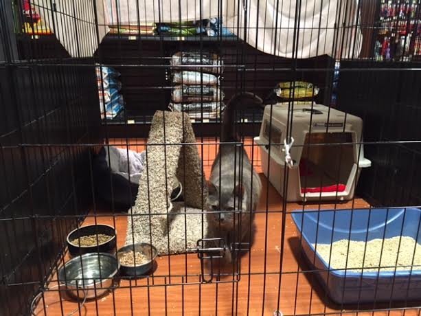 Bosleys by Pet Valu | 2362 Whatcom Road, Abbotsford, BC V3G 2L5, Canada | Phone: (604) 859-9056