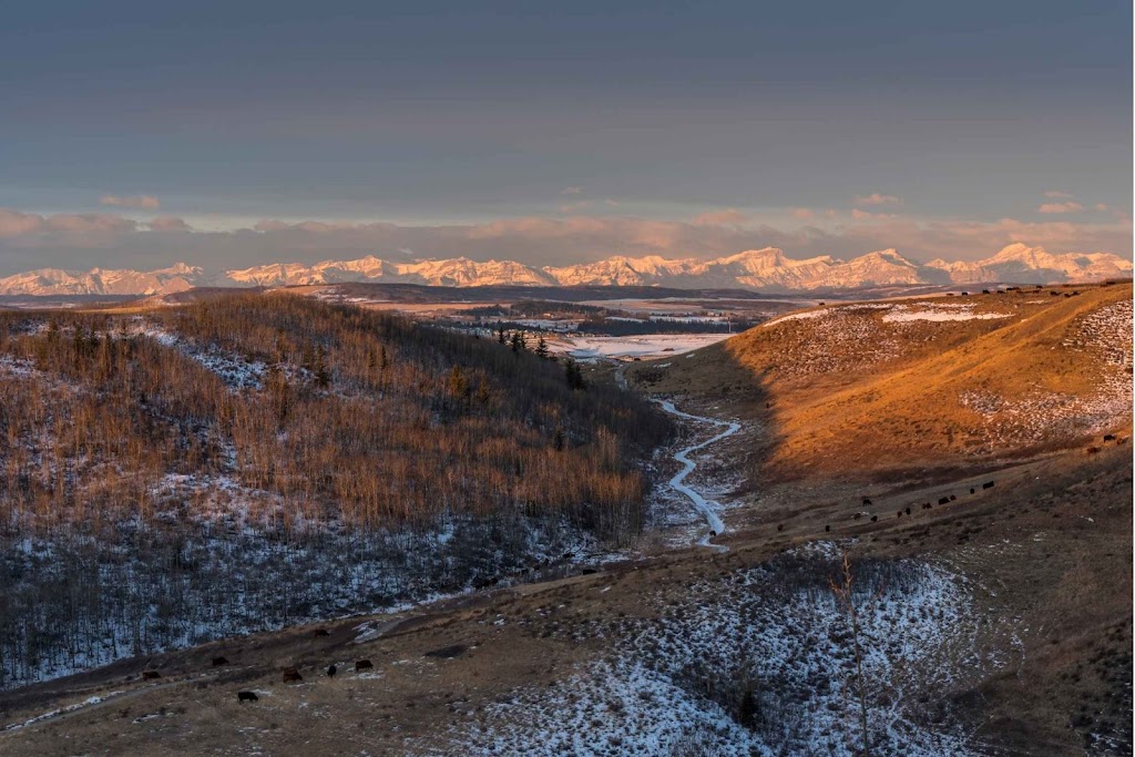 Richard Bueckert Consulting | 225 Railway St E Suite 100B, Cochrane, AB T4C 2B9, Canada | Phone: (587) 807-0099
