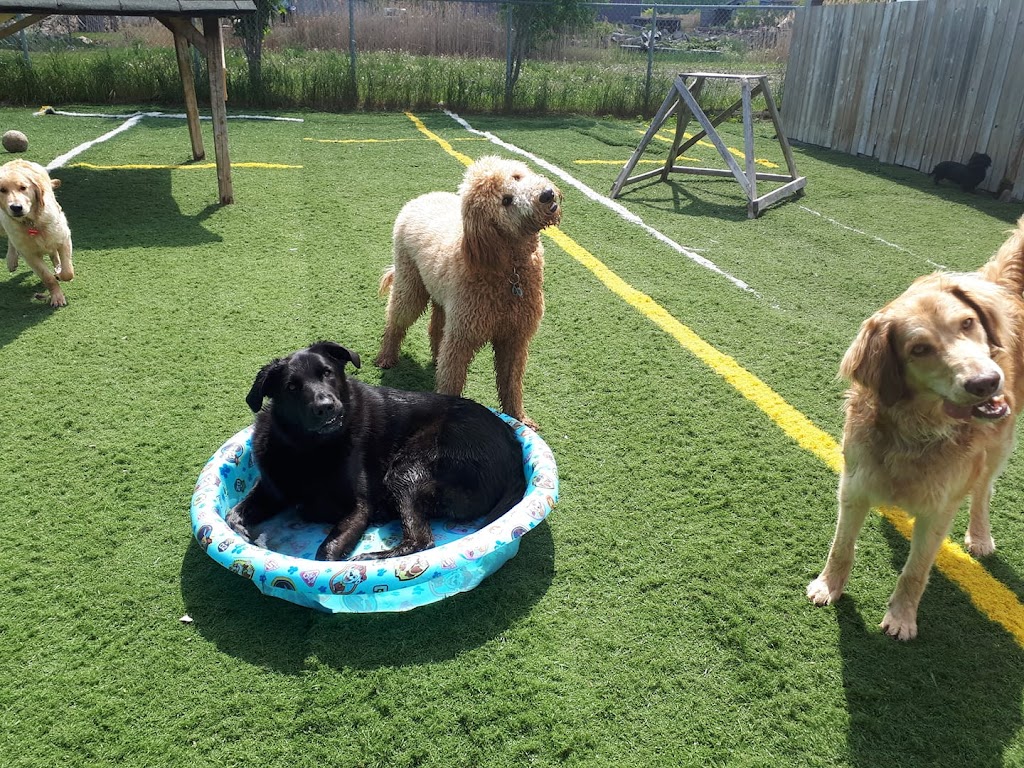 Centre Canin La Niche | 283 Chem. de la Presquîle, Repentigny, QC J5Z 0E3, Canada | Phone: (514) 236-3605