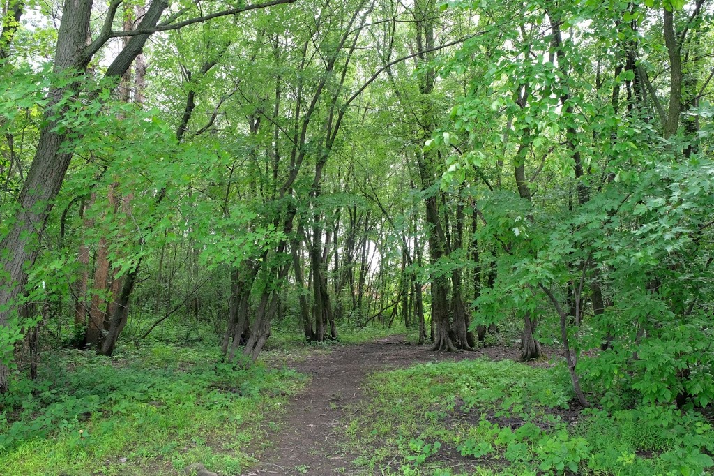Nature Park Rapides du Cheval Blanc | 5239 Boulevard des Sources, Pierrefonds, QC H8Z 3L7, Canada | Phone: (514) 872-0311