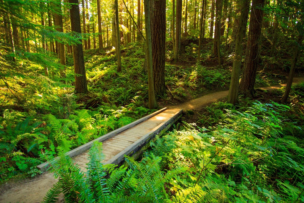 Visit Bellingham - Bellingham Whatcom County Tourism | 904 Potter St, Bellingham, WA 98229, USA | Phone: (360) 671-3990
