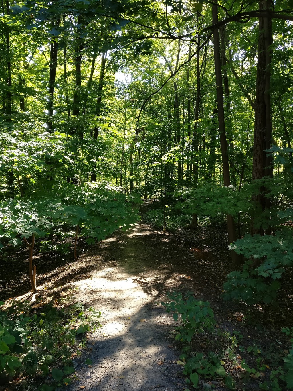 Elmhurst Park | Ottawa, ON K2B 5R7, Canada