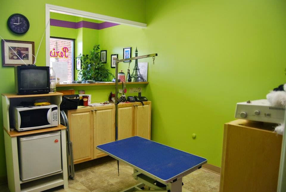 Paris and Company Professional Dog Grooming | 1144 Courtland Ave E, Kitchener, ON N2C 2H5, Canada | Phone: (519) 584-7387