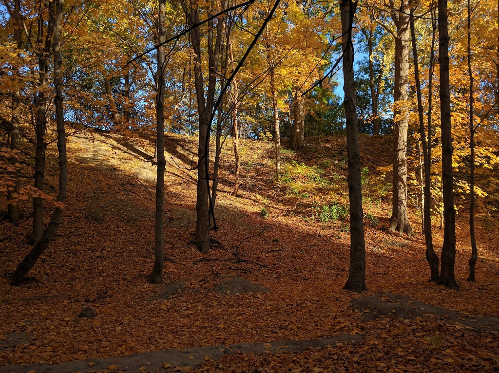 Westview Greenbelt | 20A Nordale Crescent, North York, ON M6M 3A1, Canada