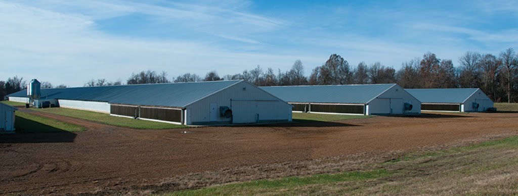 EML Inc | 500 Rue Principale, Ange-Gardien, QC J0E 1E0, Canada | Phone: (450) 293-1444