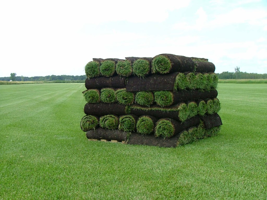 SPM Landscape | 791 Manchester Rd, London, ON N6H 4J5, Canada | Phone: (519) 474-0008