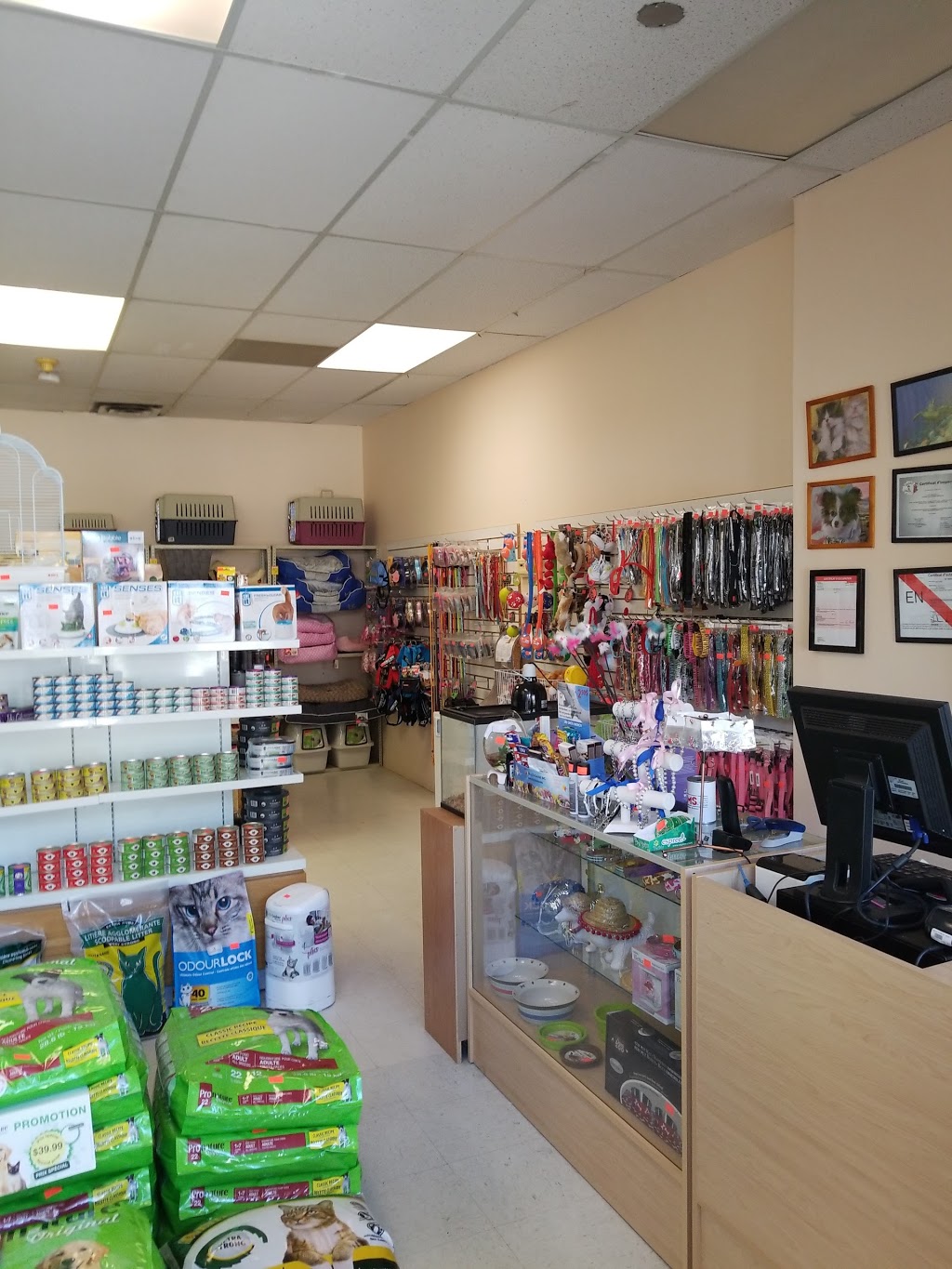 Animalerie Lulu | 5000 Rue de Nanterre, Pierrefonds, QC H9J 1W1, Canada | Phone: (514) 626-4334