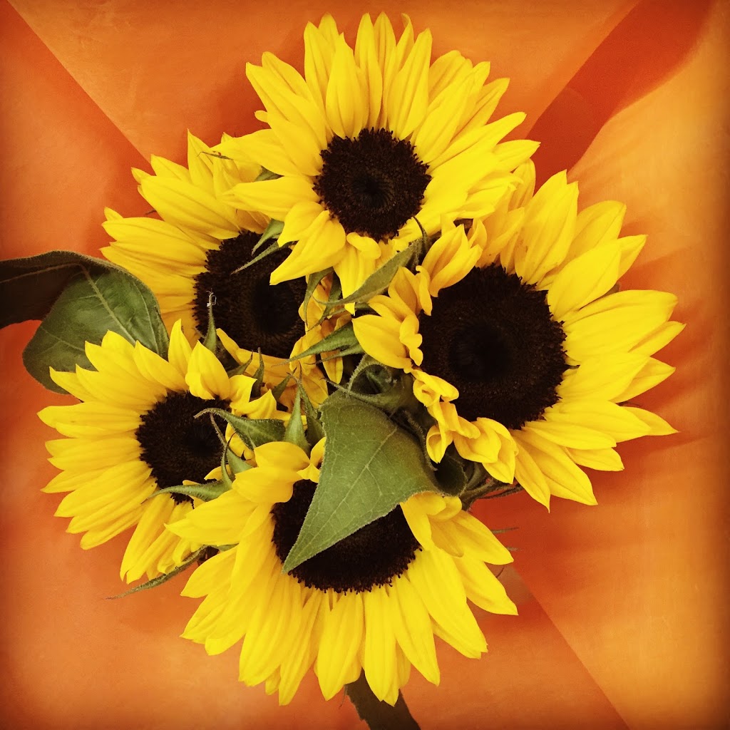 Flower Market | 8265 8265 Main St, Vancouver, BC V5X 3L7, Canada | Phone: (604) 327-7908
