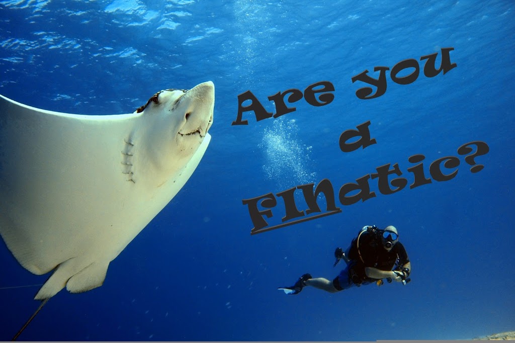 Scuba Finatics | 6954 McKeown Dr #1, Greely, ON K4P 1A2, Canada | Phone: (613) 808-7604