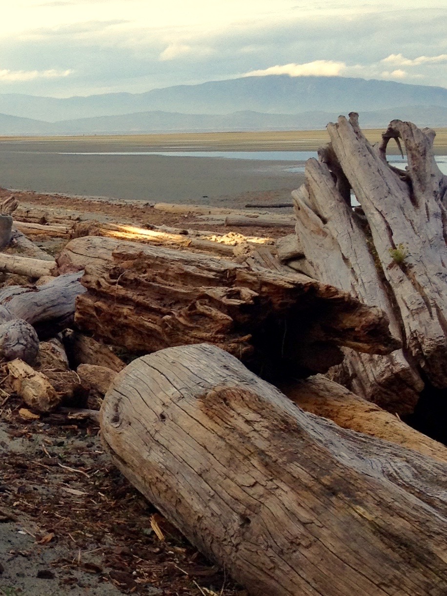 Beachwalk Guesthouse | 1059 Tanglewood Pl, Parksville, BC V9P 2V5, Canada | Phone: (204) 534-0812